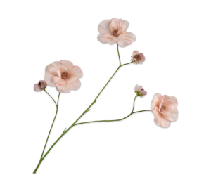 Silk-ka - LISIANTHUS TAK PZK LT RT 96 cm
