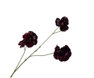Silk-ka - LISIANTHUS TAK BORDEAUX RT 96 cm